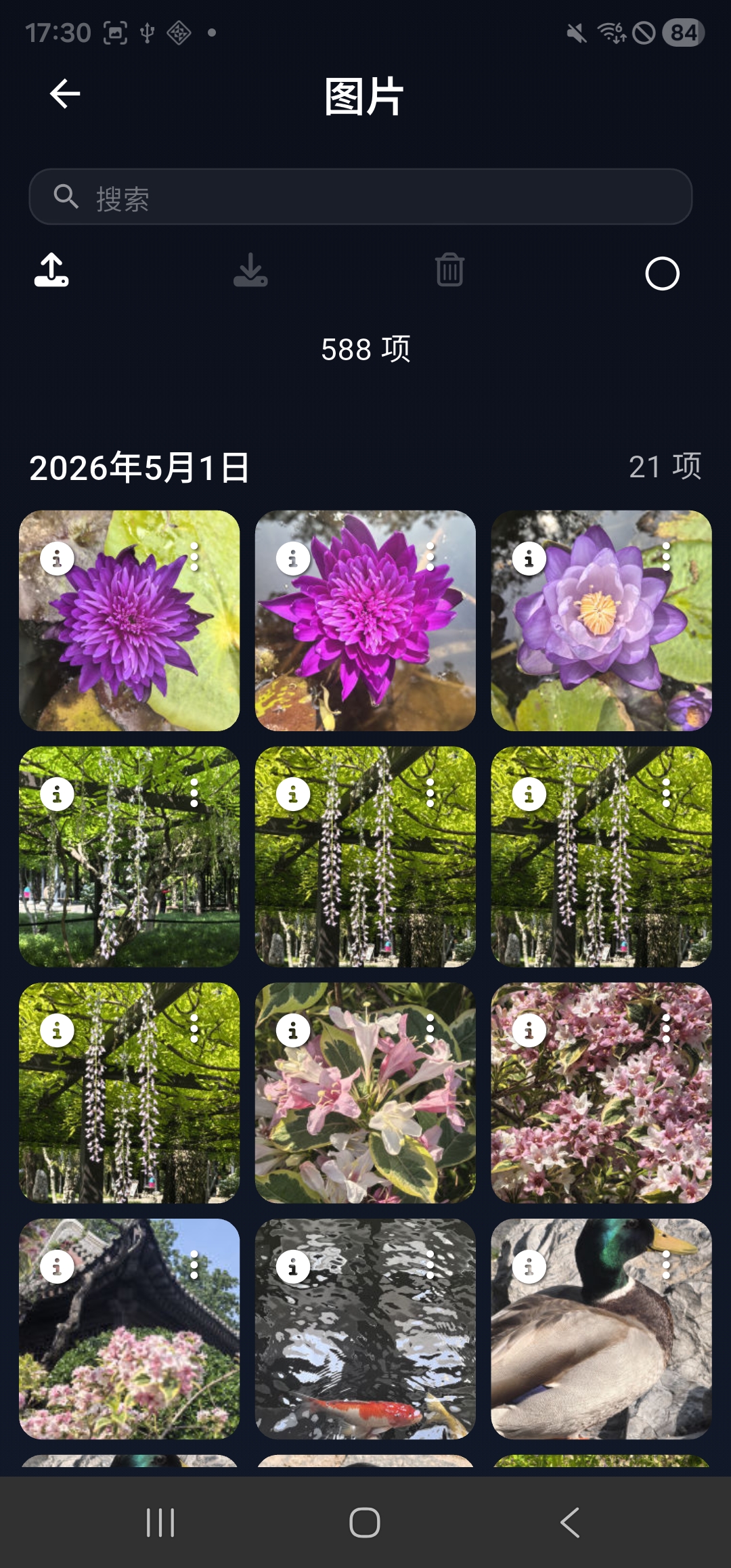 Screenshot_20260503_173040_Lumin